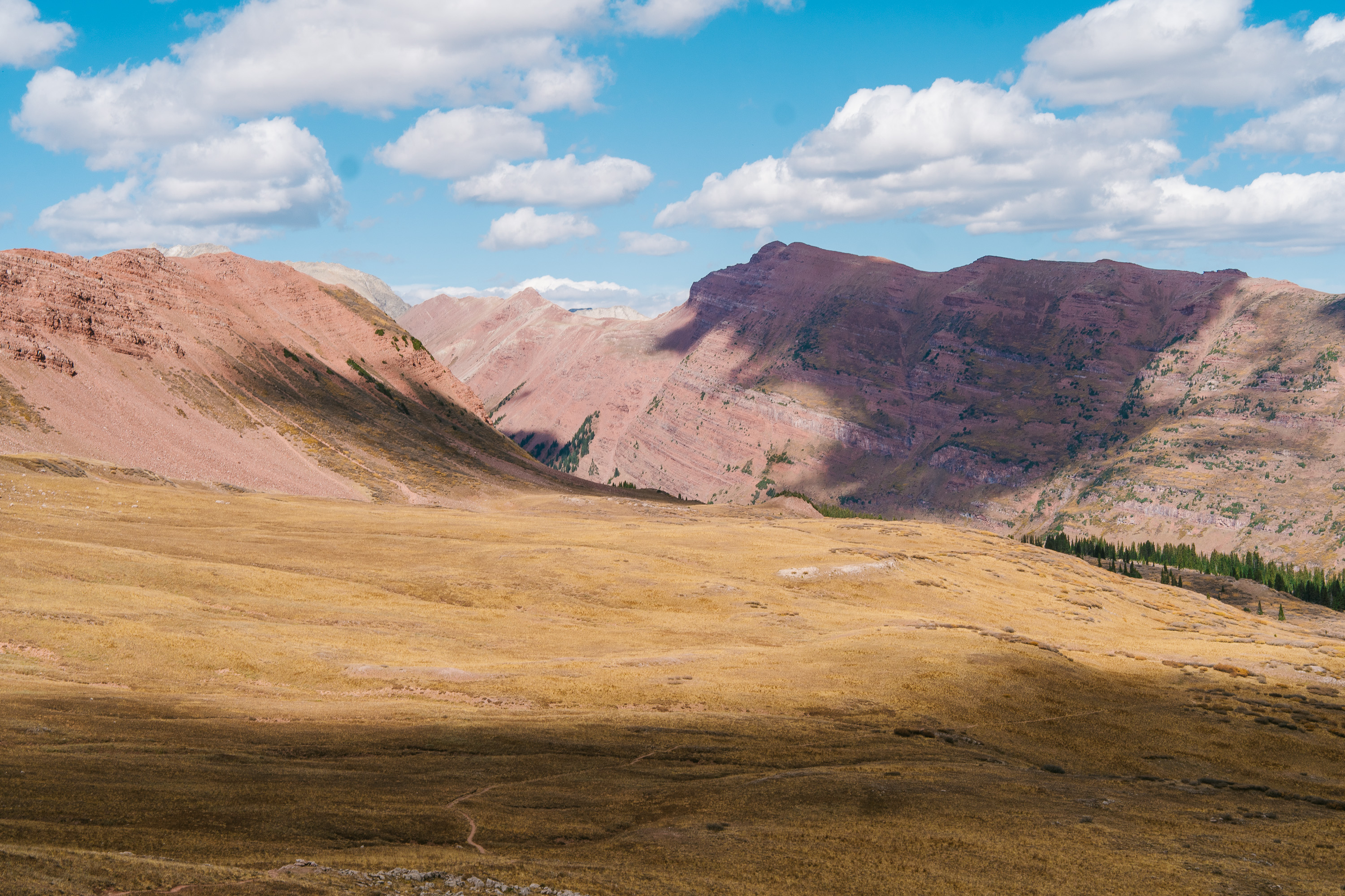 Running the Four Pass Loop in a Day