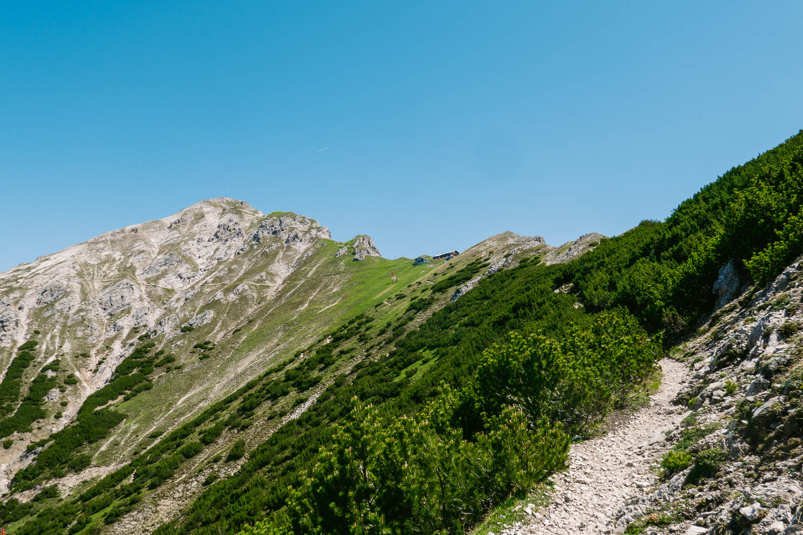 Reaching the alpine, just below Nordlinger