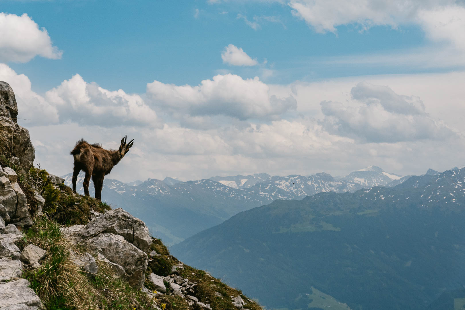 Friends along the trail