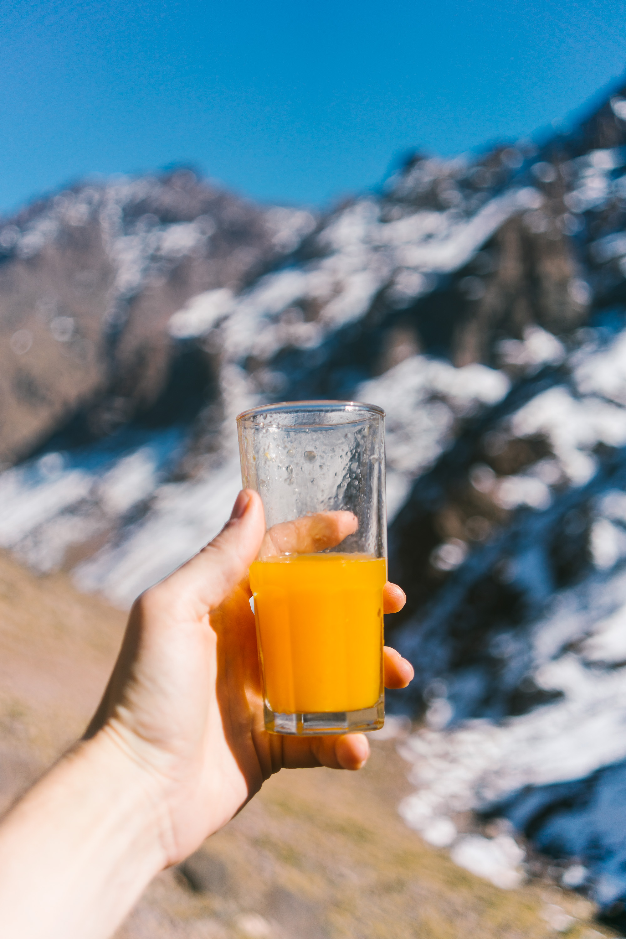 No really. Best orange juice ever.