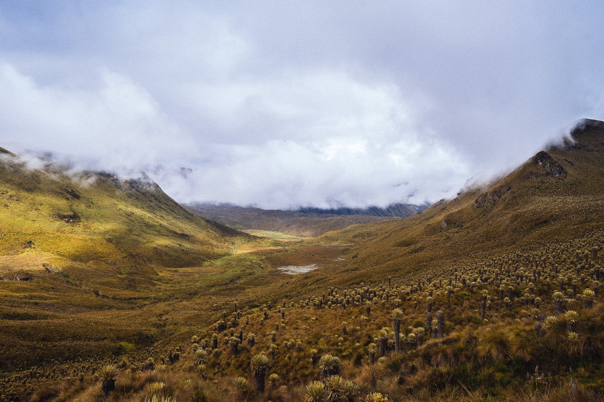 Trekking in Los Nevados National Park