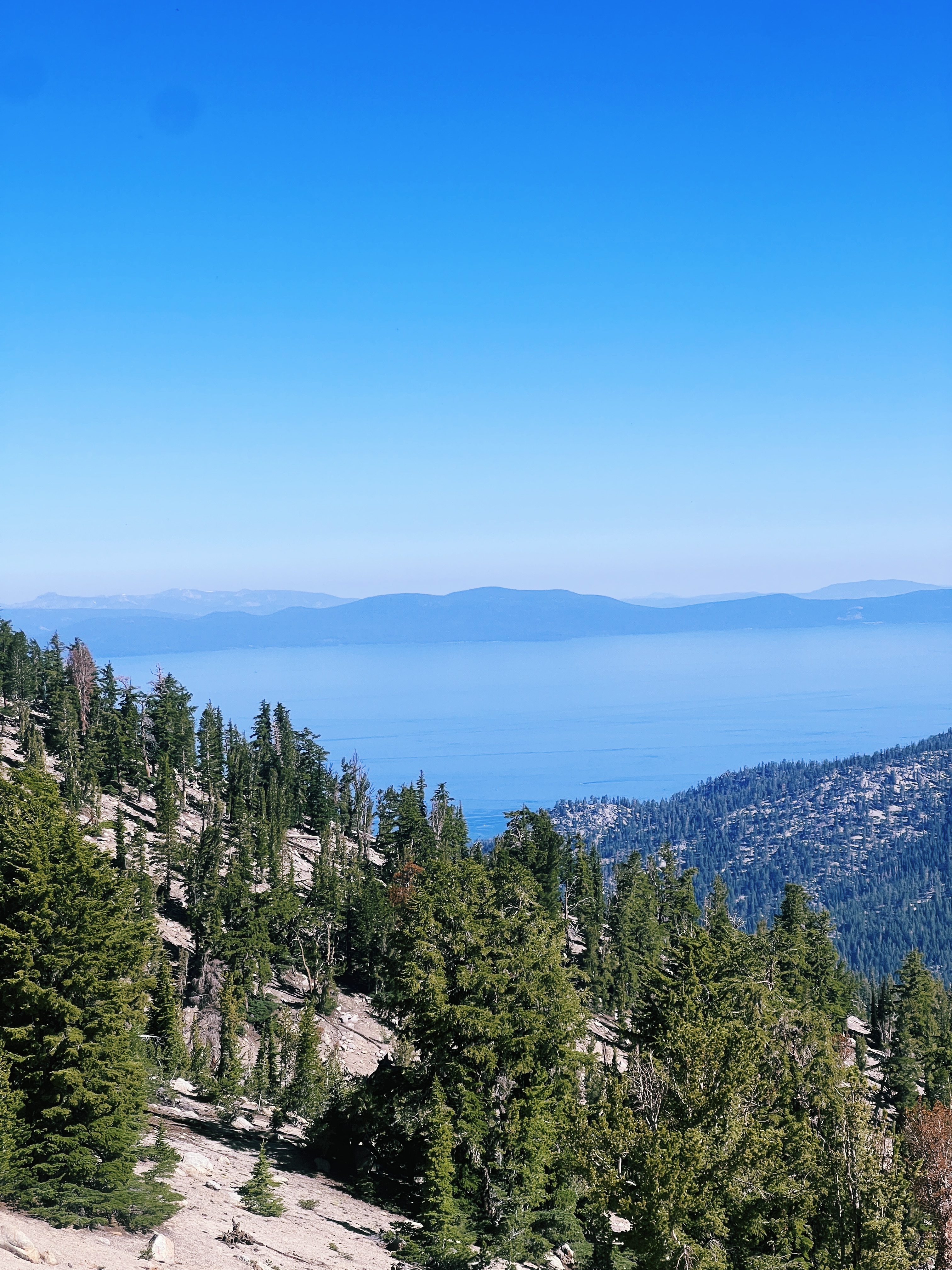 Can a vacancy tax \\\\"fix\\\\" mountain town housing problems?