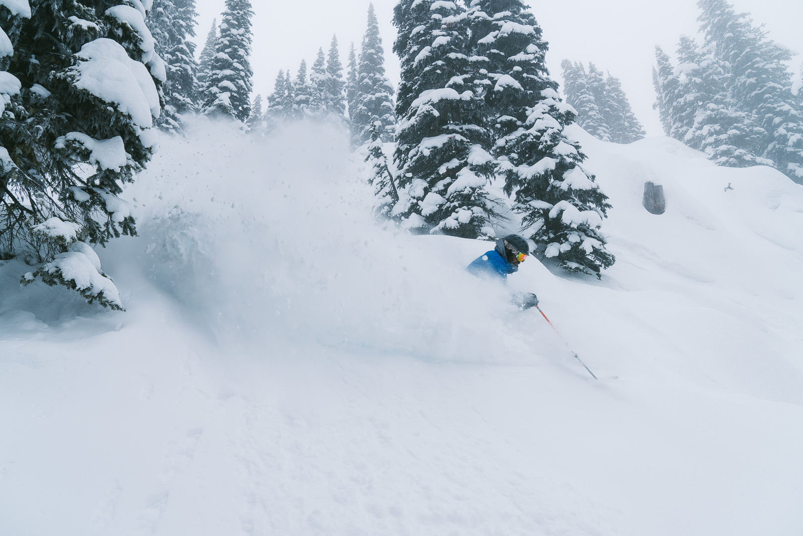 Skiing at RED Mountain Resort -- a must-stop destination on the Powder Highway